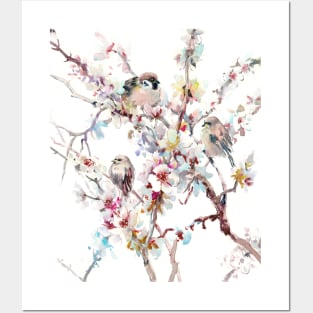 Sparrows And Apricot Blossom Posters and Art